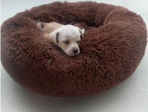 Soothing Pet Bed